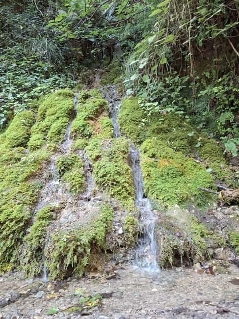 Pollino National Park: Trekking in the Argentino Nature Reserve - Why This Area Is Special