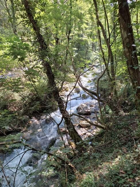 Pollino National Park: Trekking in the Argentino Nature Reserve - What’s Included & What to Consider