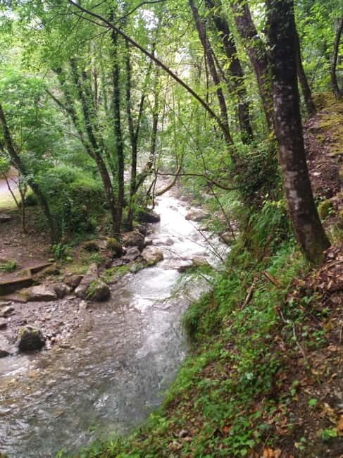 Pollino National Park: Trekking in the Argentino Nature Reserve - Practical Tips