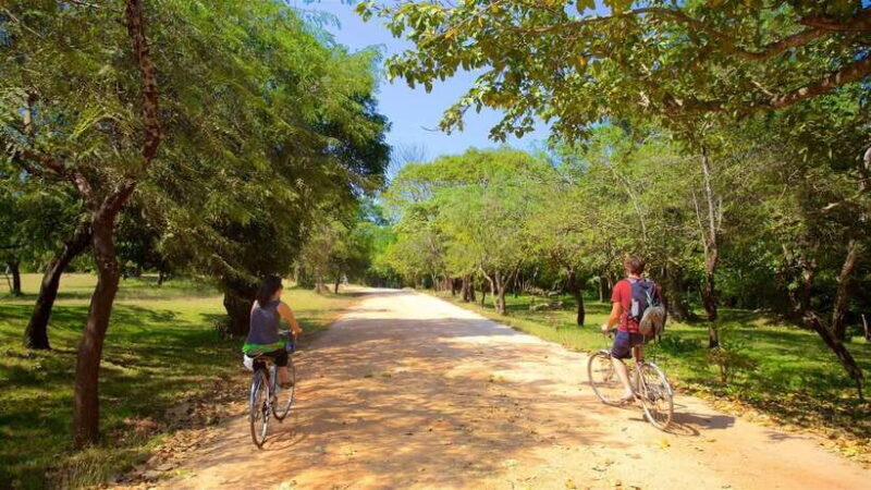 Polonnaruwa: All Inclusive Ancient City Guided Cycling Tour - Key Points  