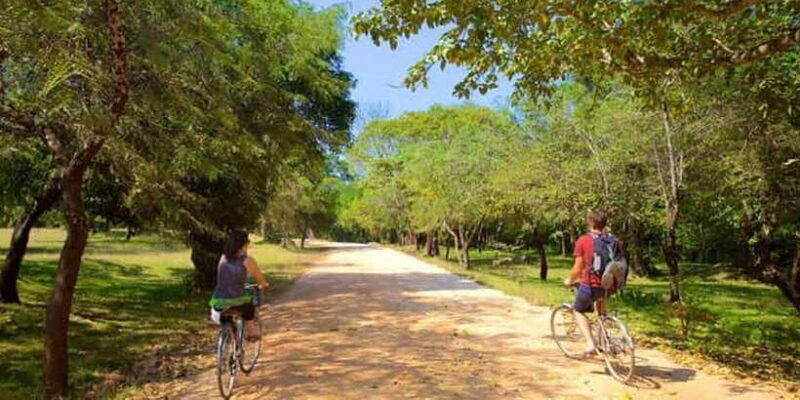 Polonnaruwa: All Inclusive Ancient City Guided Cycling Tour - Final Thoughts  