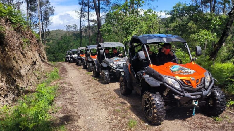Pombal- Sicó: 120 minutes OFF-ROAD buggy ride - Who Will Love This Experience?
