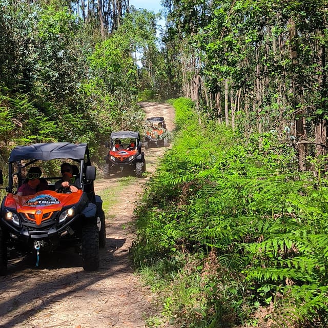 Pombal- Sicó: 60 minutes OFF-ROAD Buggy Ride - Final Thoughts