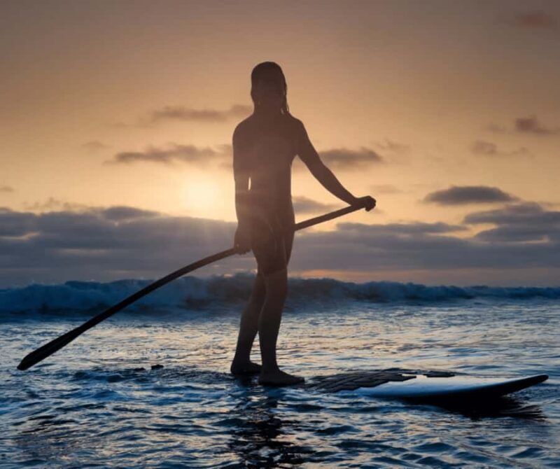 Pompano Beach: Stand Up Paddle Board Rental - The Guide’s Role and Naturalist Expertise