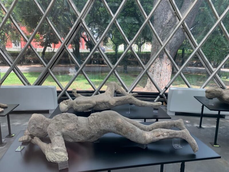 POMPEI AND HERCULANEUM PRIVATE TOUR - Key Points