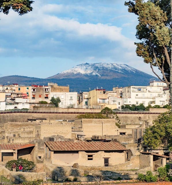 Pompei and Herculaneum: Skip the Line Entry + Audioguide - Key Points