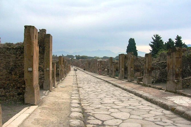 Pompei Archeological site and Wine tasting Experience - The Sum Up