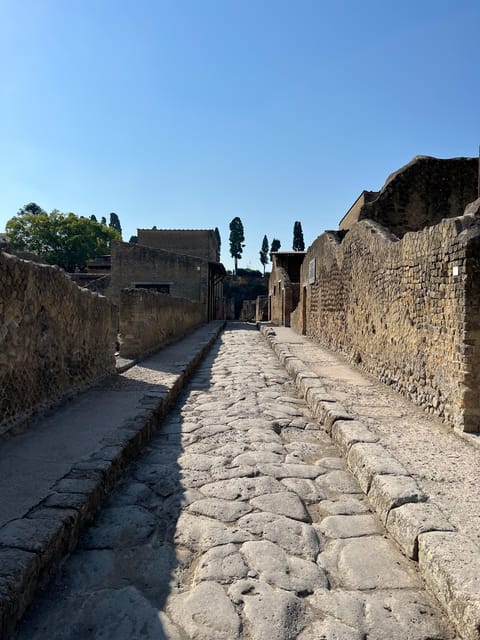 Pompei Guided Tour in Shared Formula - Booking Information