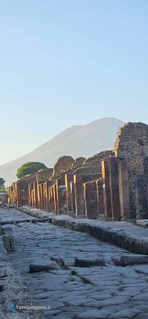 Pompei: Tour With Archaeologist Guide & Skip-The-Line Entry - Cultural Insights