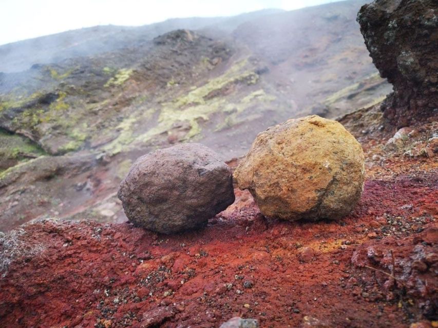 Pompei: Vesuvio National Park Round-Trip Bus Ticket - Key Points