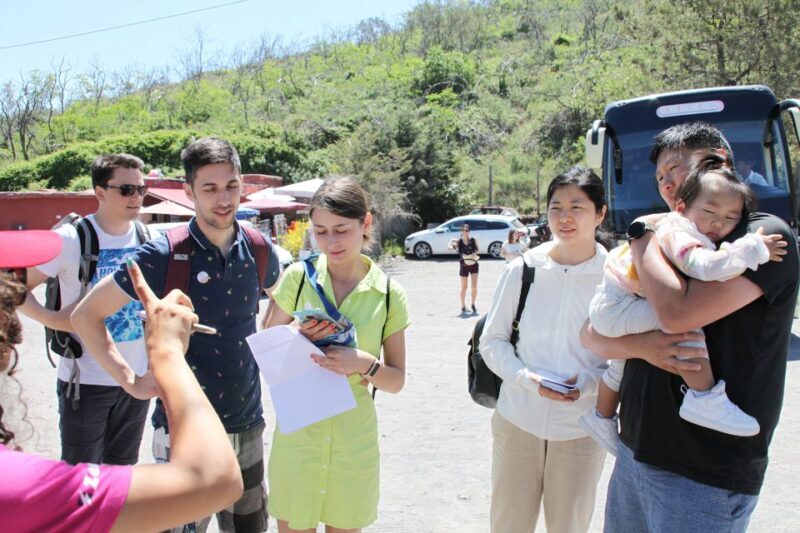 Pompei: Vesuvius and Herculaneum Tour - Who Will Love This Tour?