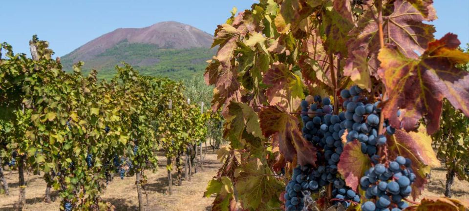 Pompei & Vesuvius Private Day With Stop Lunch in the Winery - Directions