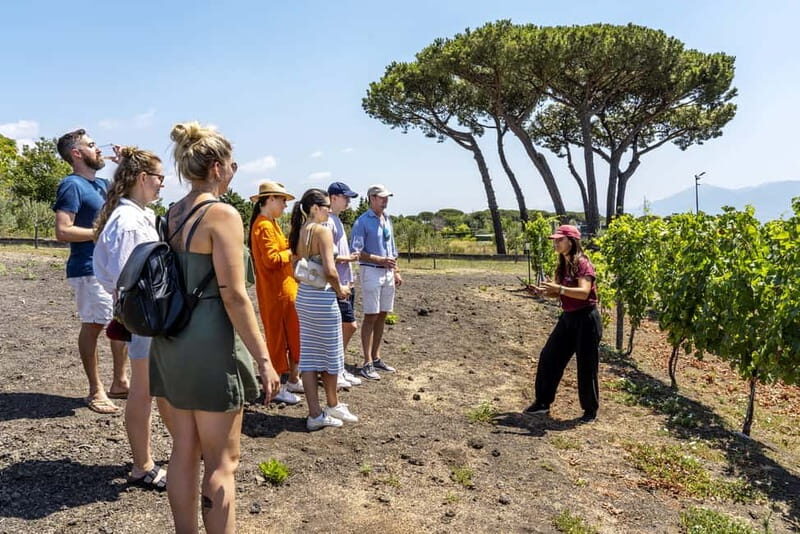 Pompei: Vesuvius Vineyards Tour with Wine Tasting and Lunch - A Closer Look at the Vesuvius Vineyards Tour