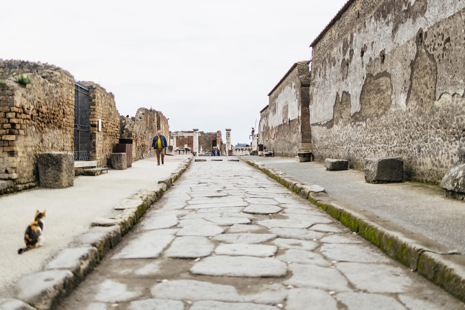 Pompeii: Afternoon to Sunset Guided Tour With Ticket - Customer Testimonials and Ratings