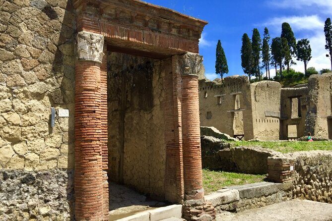 Pompeii and Herculaneum Daily Tour from Naples - Who Will Love This Tour?