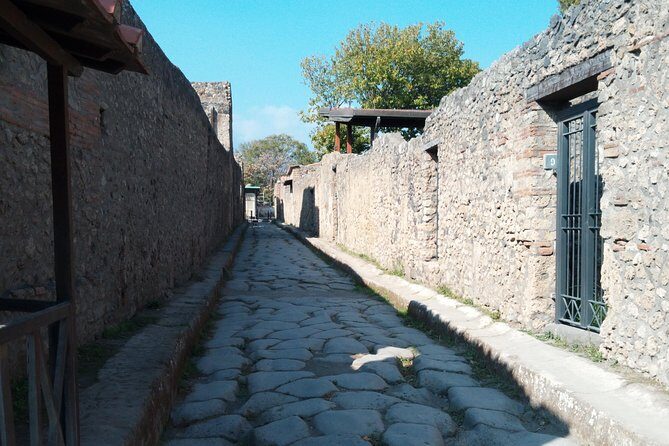 Pompeii and Herculaneum Skip-The-Line with Lunch and Wine Tasting from Rome - What Reviewers Say