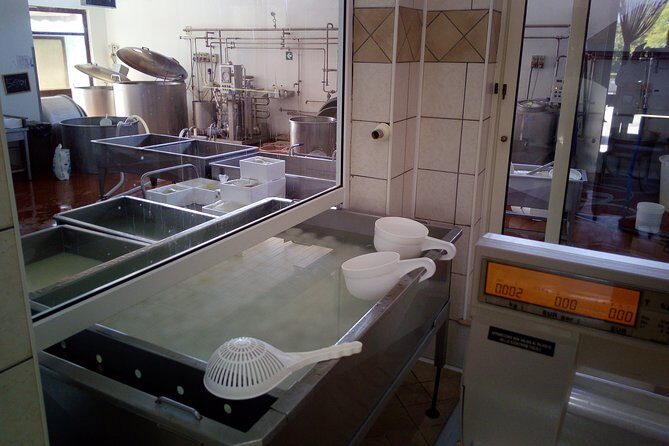 Pompeii and Herculaneum Skip-The-Line with Lunch and Wine Tasting from Rome - The Sum Up: Is This Tour Right for You?