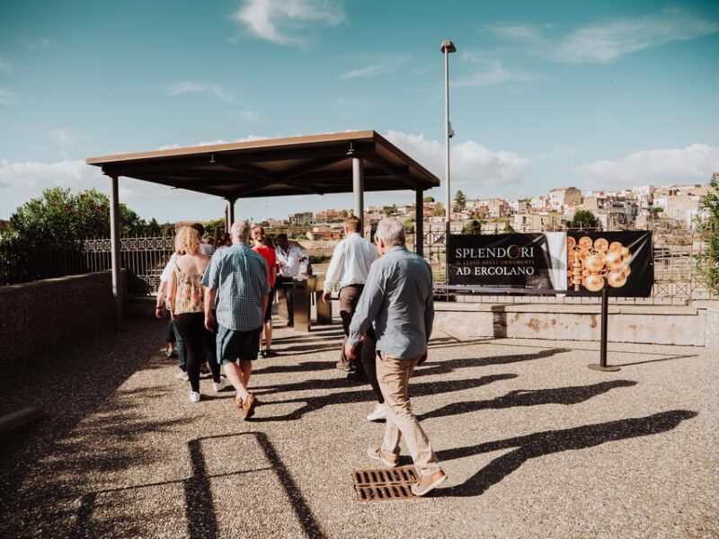 Pompeii and Herculaneum small group excursion from Sorrento - Walking and Physical Demands