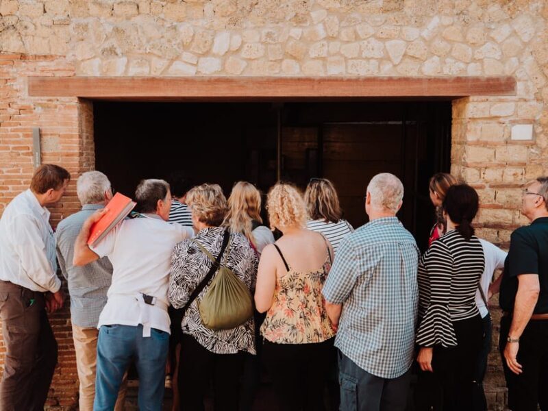Pompeii and Herculaneum small group excursion from Sorrento - Authenticity and Experience