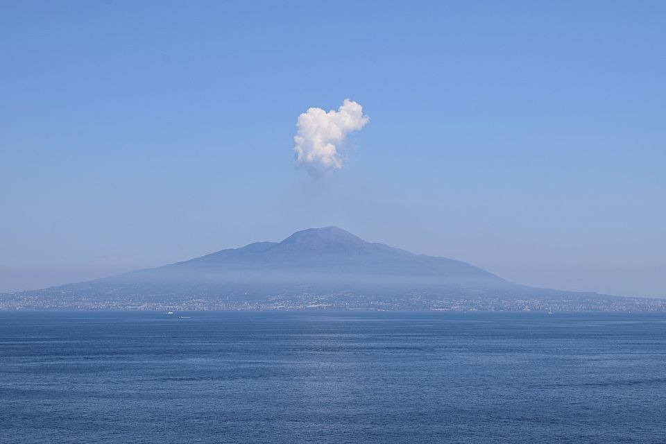 Pompeii and Mt Vesuvius: Full-Day Private Tour - Booking Information