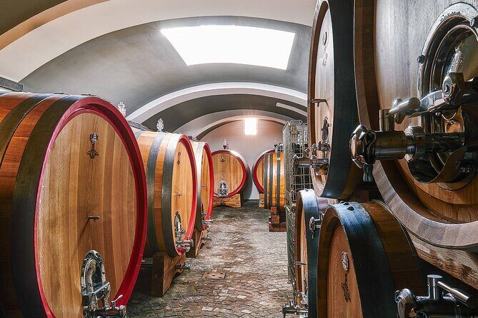 Pompeii and Naples from Rome: Enjoy a Full-Day Tour with Lunch - A Walk through Naples’ Historic Heart