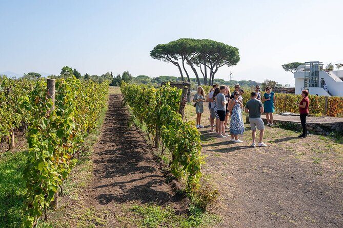 Pompeii and Naples From Rome: Private Full-Day Tour with Lunch - FAQs