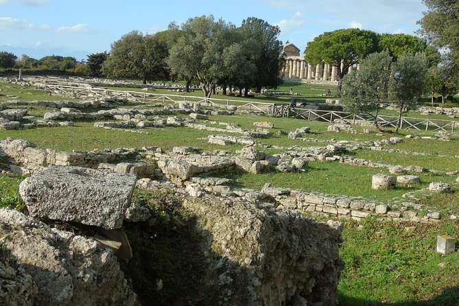 Pompeii and Paestum Fullday From Naples or Sorrento or Positano or Amalfi - Cancellation Policy