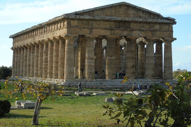 Pompeii and Paestum Shore Excursion From Naples Cruise Port - Paestum Archaeological Park Discovery