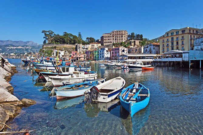 Pompeii and Sorrento Daytrip From Rome - Viator Assistance