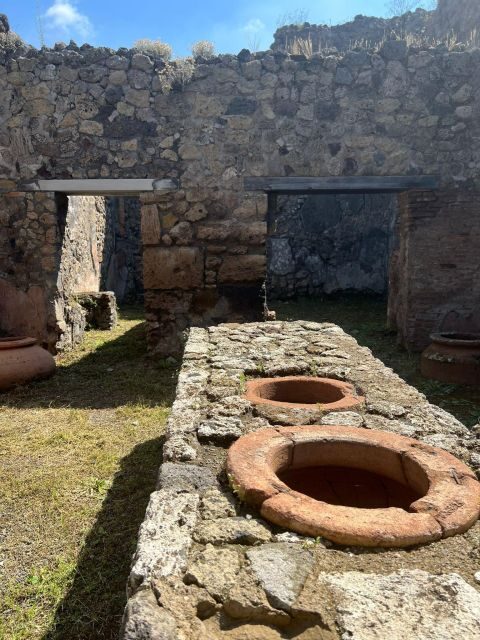 Pompeii and Vesuvius Cellars: Tour with Pick-Up in Positano - Who Is This Tour Best For?