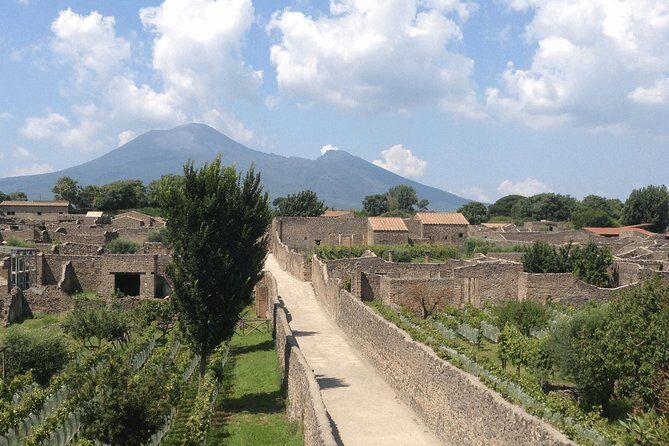Pompeii and Vesuvius Day Trip from Naples with Lunch - What Travelers Should Know Before Booking