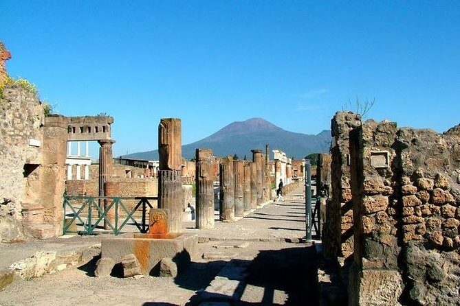Pompeii and Vesuvius Tour with Lunch - Who Should Consider This Tour?