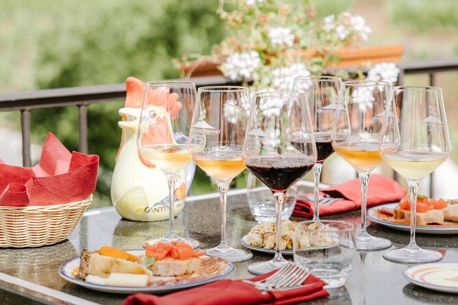 Pompeii and Vesuvius Wine Tasting Private Tour - Lowest Price Guarantee and Flexible Payments