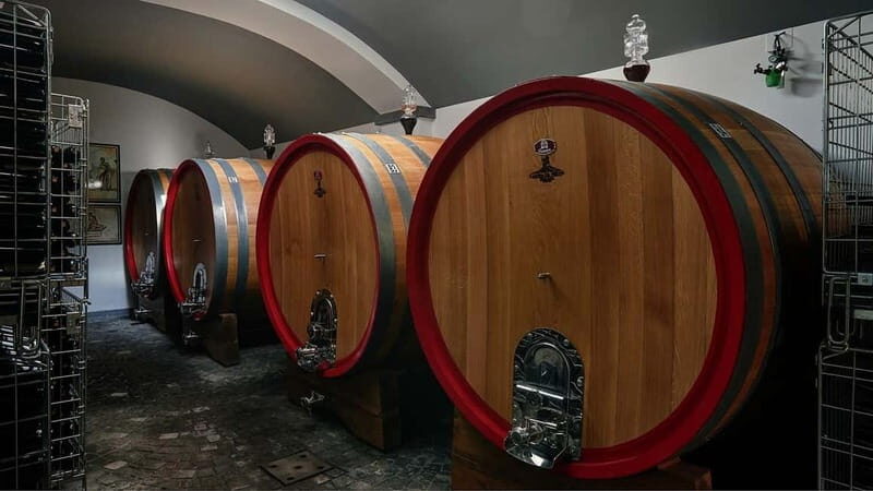 Pompeii and Vesuvius Winery Tour with Wine Tasting - Final Thoughts: Who Will Enjoy This Tour?