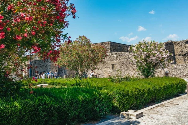 Pompeii: Archaeological Park Guided Tour - Key Points