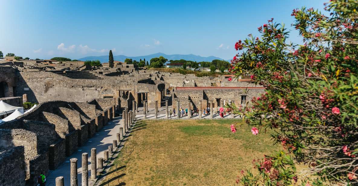 Pompeii: Archaeological Park Tour With Ticket on Request - Tour Highlights