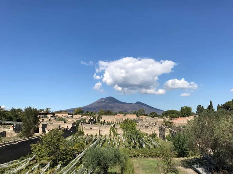 Pompeii: Archeological Tour & Wine Tasting at Mt. Vesuvius - The Vesuvian Lunch and Wine Tasting