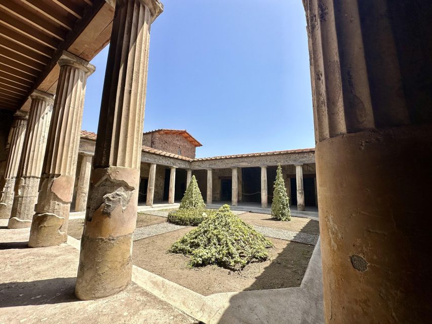Pompeii: Archeological Tour & Wine Tasting at Mt. Vesuvius - Key Points