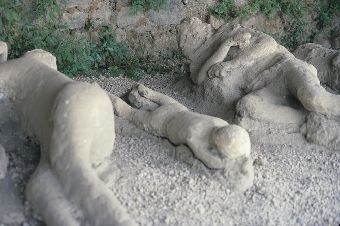 Pompeii Day Trip From Rome With Mount Vesuvius or Positano Option - Recap