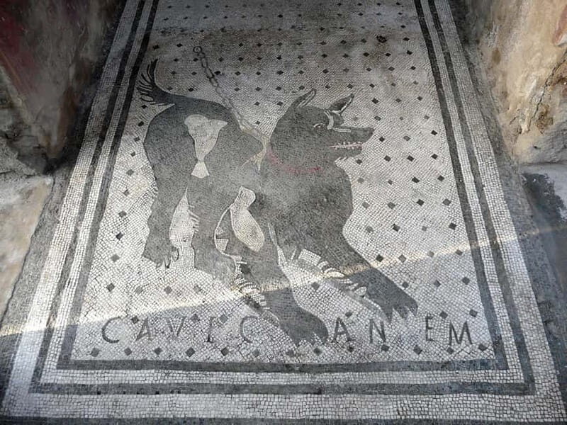 Pompeii: Day Trip with High-Speed Train & Guided tour - Walking Through History: The Ruins