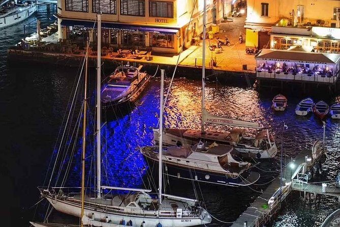 Pompeii excavations and its vineyards - Key Points