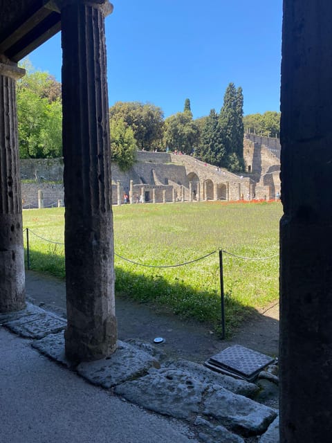 Pompeii from Napoli: transfer + entry ticket + guided tour - Who Should Consider This Tour?