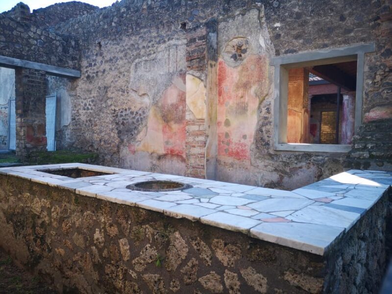 Pompeii: Guided Day Trip to Ruins and 2 Wineries Visits - An In-Depth Look at the Tour