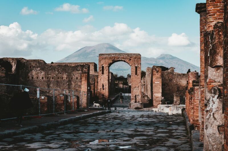 Pompeii: Guided Tour and Lunch - Key Points