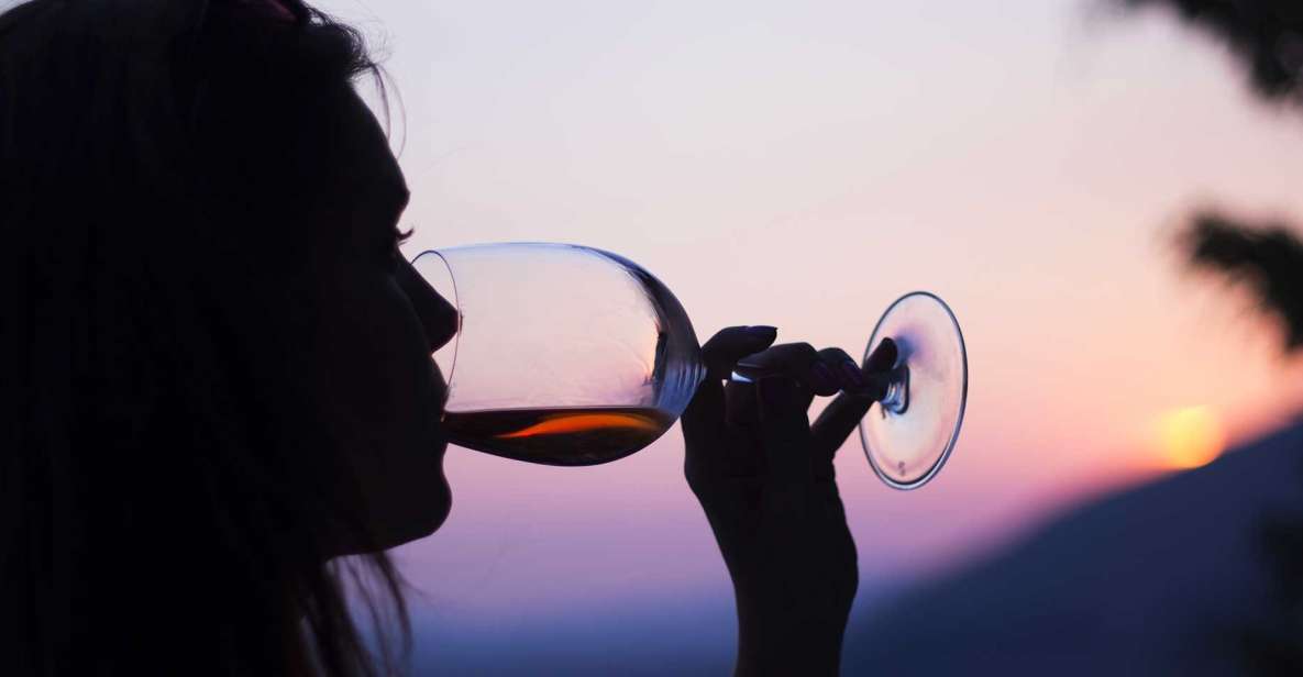 Pompeii: Guided Tour & Wine Tasting at Mt. Vesuvius - Key Points