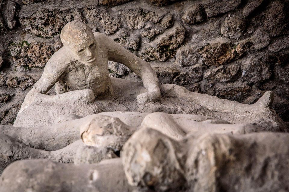 Pompeii: Guided Tour & Wine Tasting at Mt. Vesuvius - Important Visitor Information