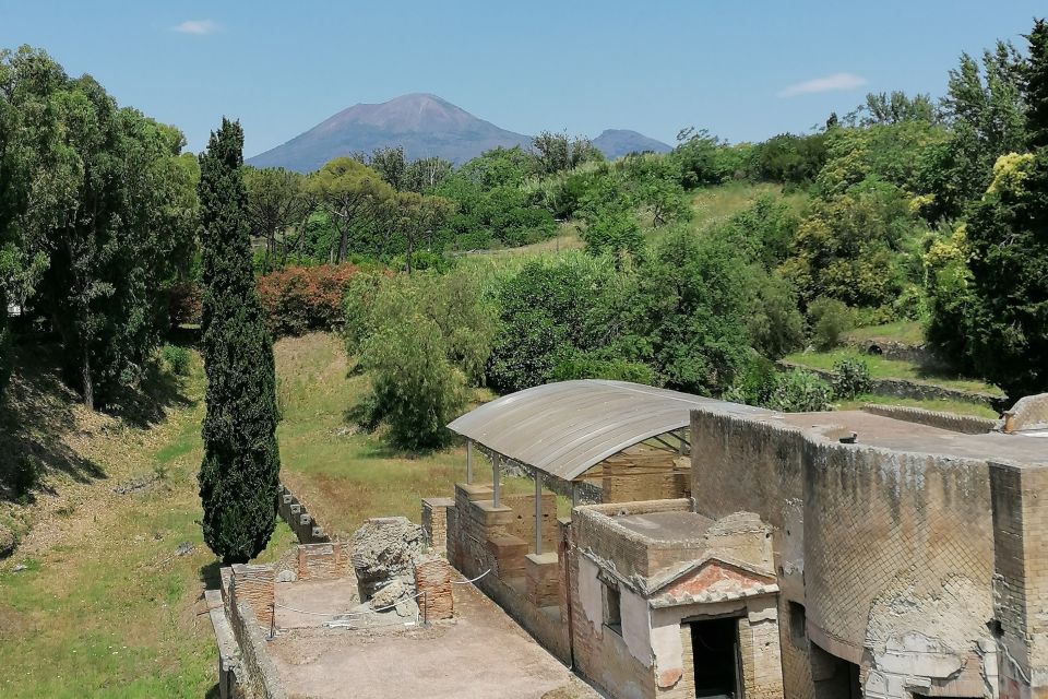 Pompeii: Guided Tour With Archaeologist With Max. 12 People - Group Size and Languages Offered
