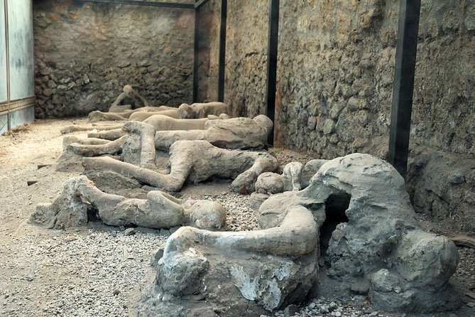 Pompeii Guided Walking Tour With Ticket - Guest Reviews
