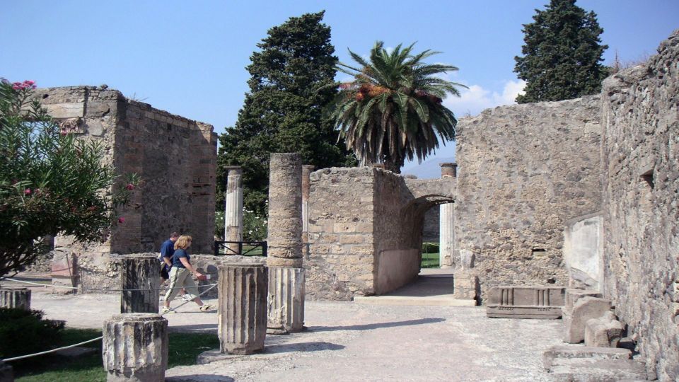 Pompeii Half-Day Coach Tour From Sorrento - Booking and Cancellation Policy