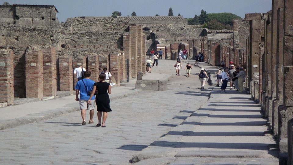 Pompeii Half-Day Coach Tour From Sorrento - Customer Ratings and Feedback